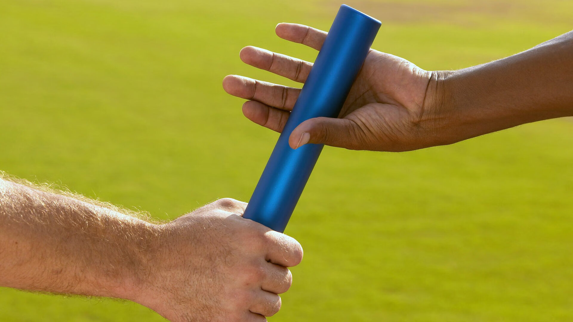 游泳世锦赛：中国队夺得多项金牌，实力强劲！，游泳世锦赛个人金牌榜