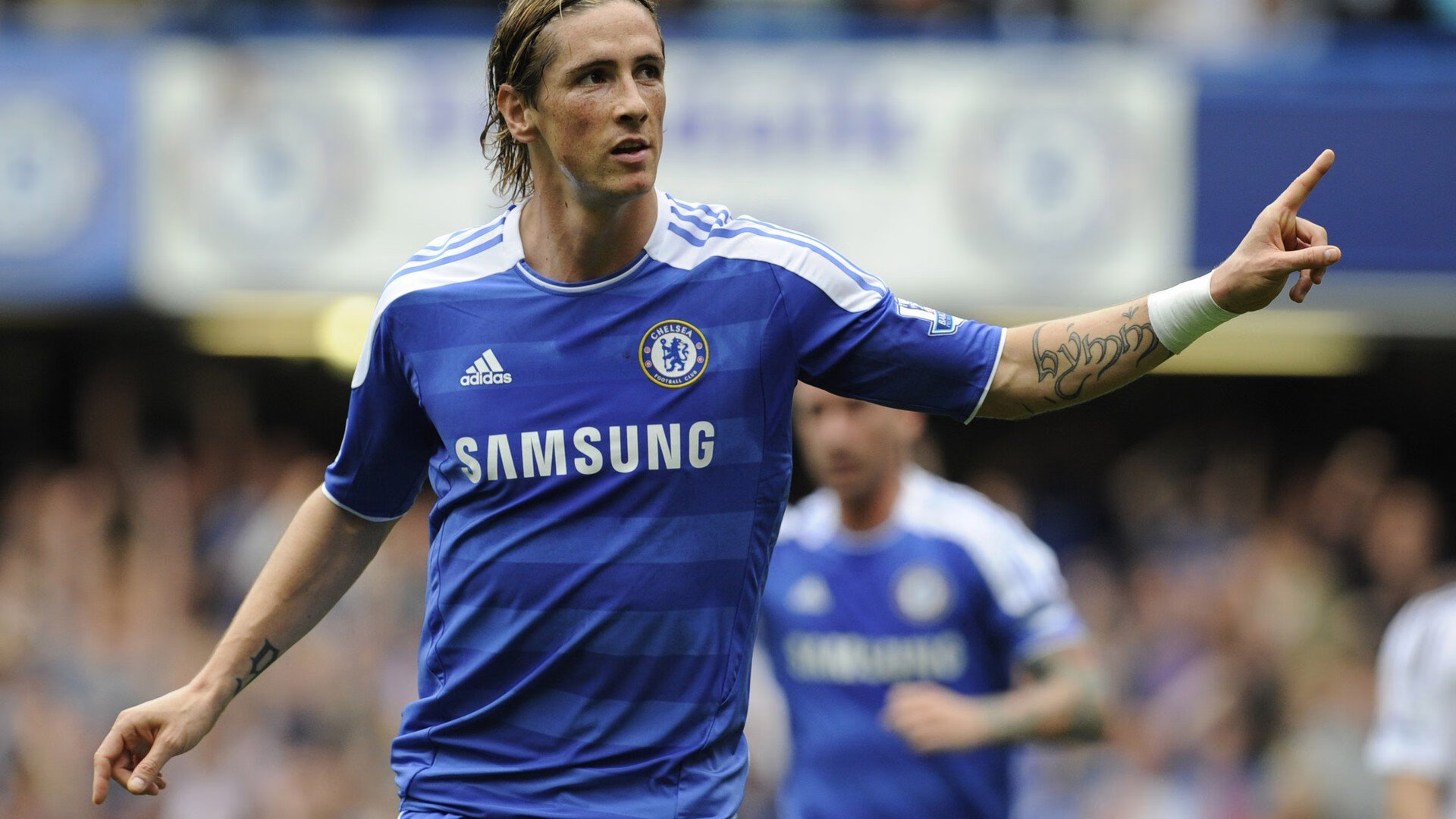 敬请期待：下一个“新星”会是谁？