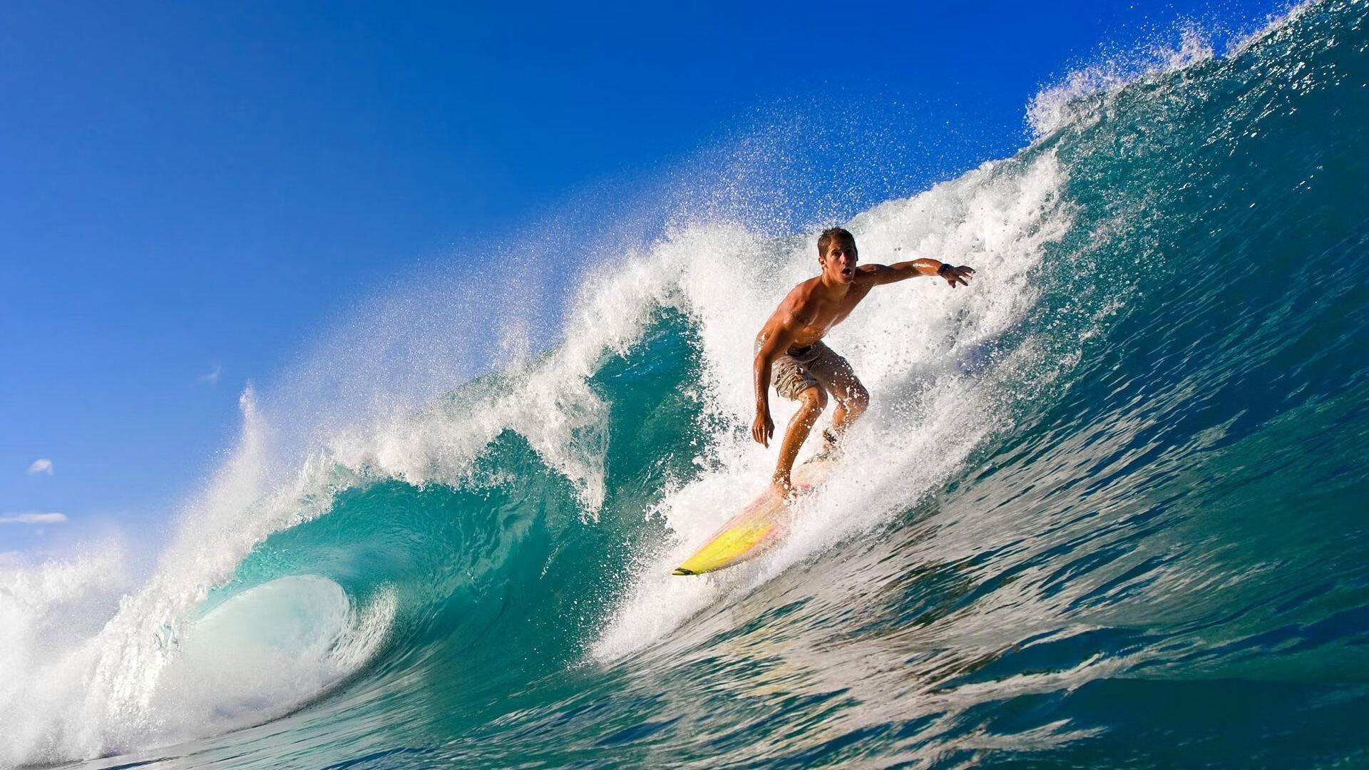 敬请期待：下一个“新星”会是谁？